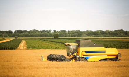 Nowoczesne kombajny zbożowe 2025 – przegląd najnowszych modeli